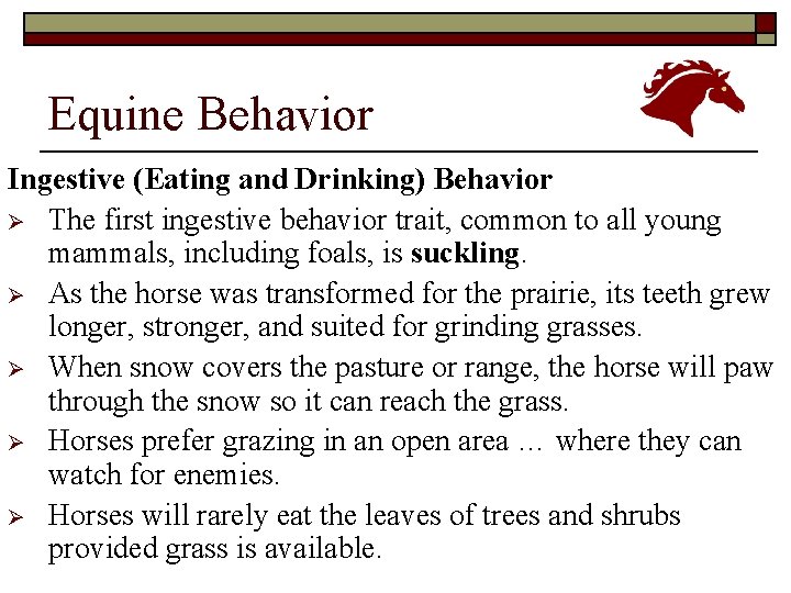 Equine Behavior Ingestive (Eating and Drinking) Behavior Ø The first ingestive behavior trait, common