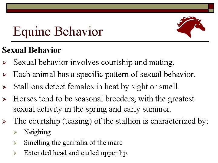 Equine Behavior Sexual Behavior Ø Sexual behavior involves courtship and mating. Ø Each animal