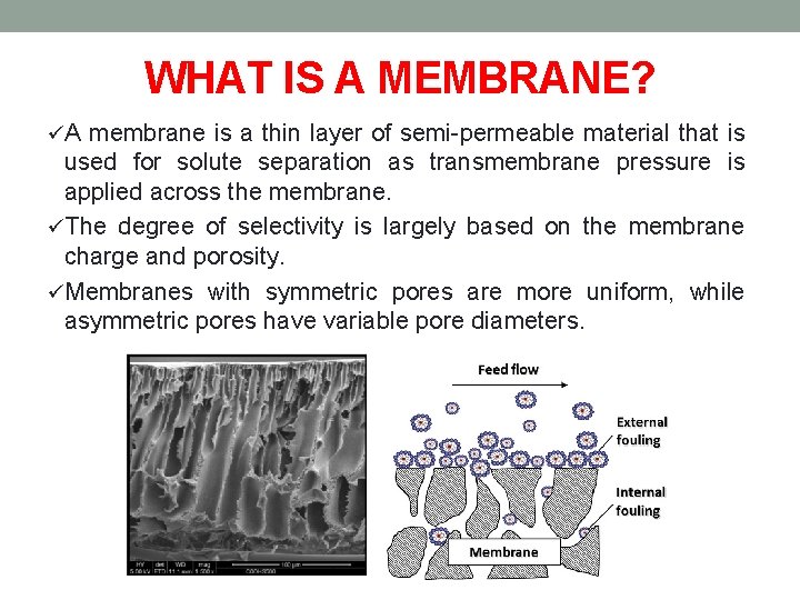 WHAT IS A MEMBRANE? üA membrane is a thin layer of semi-permeable material that