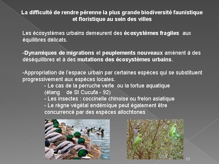 La difficulté de rendre pérenne la plus grande biodiversité faunistique et floristique au sein