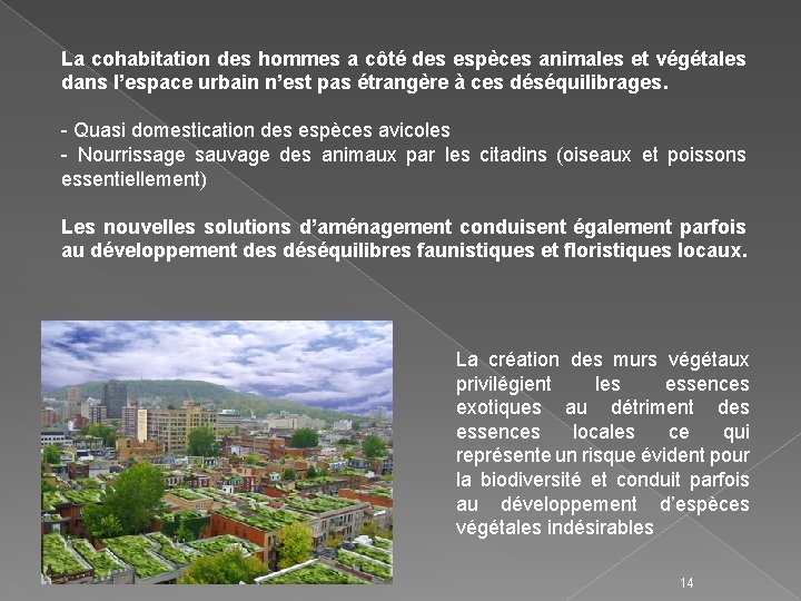 La cohabitation des hommes a côté des espèces animales et végétales dans l’espace urbain