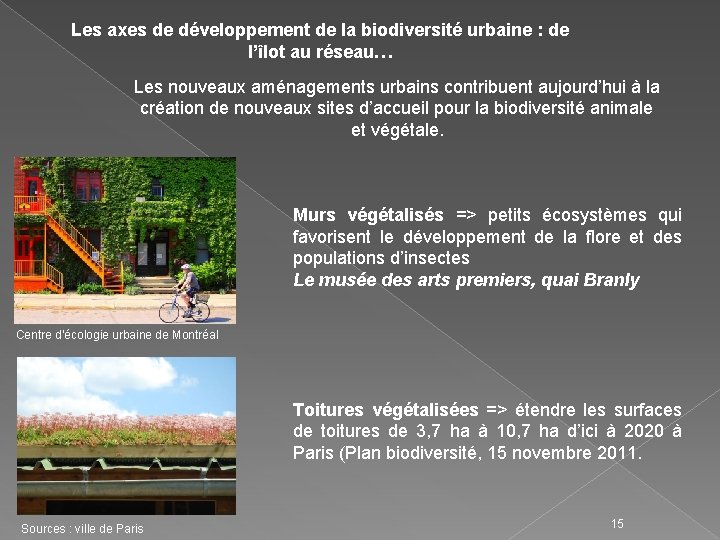 Les axes de développement de la biodiversité urbaine : de l’îlot au réseau… Les