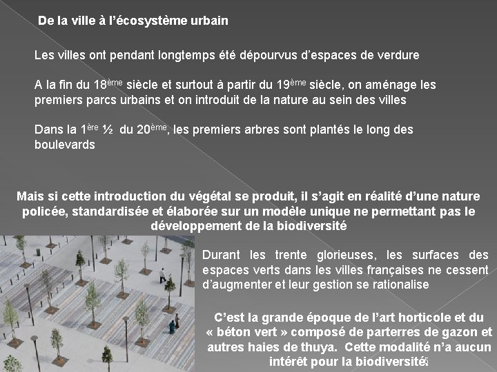 De la ville à l’écosystème urbain Les villes ont pendant longtemps été dépourvus d’espaces