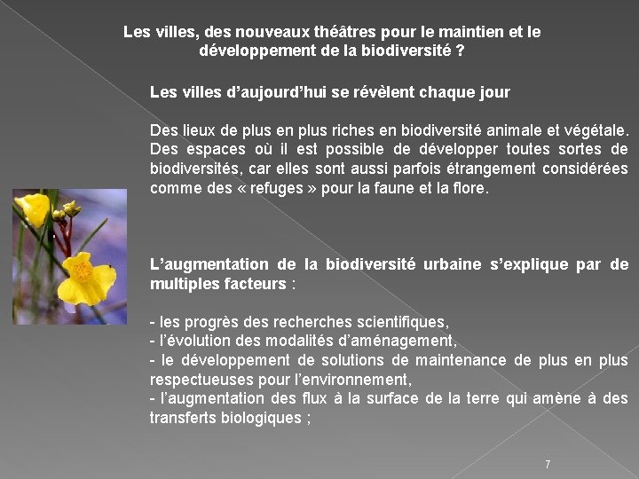 Les villes, des nouveaux théâtres pour le maintien et le développement de la biodiversité