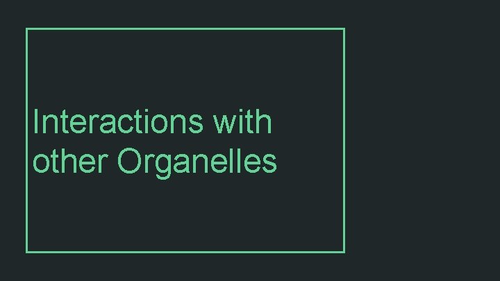 Interactions with other Organelles 