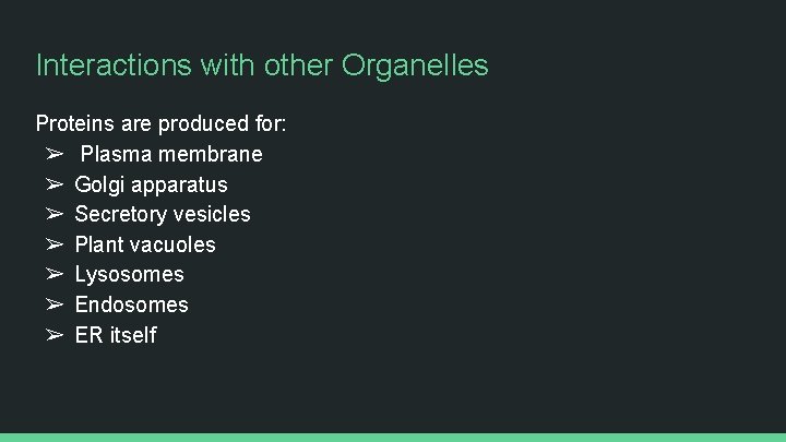 Interactions with other Organelles Proteins are produced for: ➢ Plasma membrane ➢ Golgi apparatus
