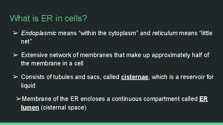 What is ER in cells? ➢ Endoplasmic means “within the cytoplasm” and reticulum means