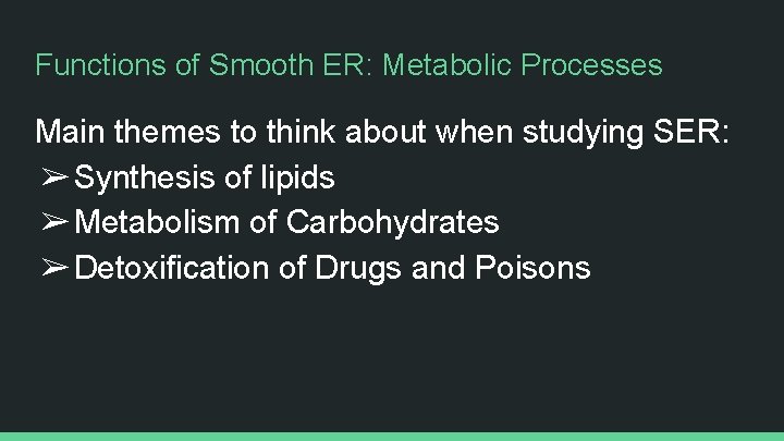 Functions of Smooth ER: Metabolic Processes Main themes to think about when studying SER: