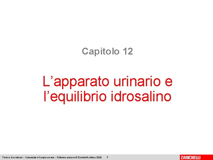 Capitolo 12 L’apparato urinario e l’equilibrio idrosalino Tortora, Derrickson – Conosciamo il corpo umano