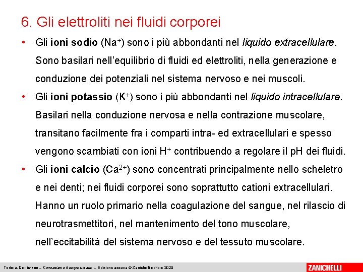 6. Gli elettroliti nei fluidi corporei • Gli ioni sodio (Na+) sono i più