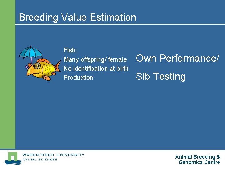 Breeding Value Estimation Fish: Many offspring/ female No identification at birth Production Own Performance/