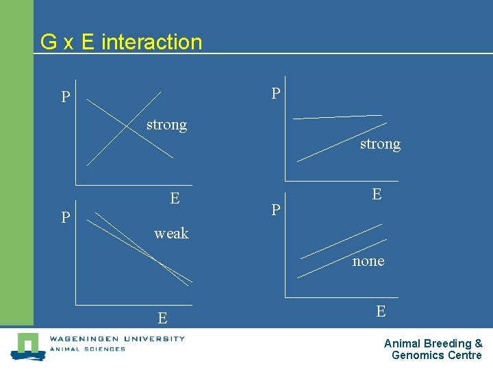 G x E interaction P P strong E P P E weak none E
