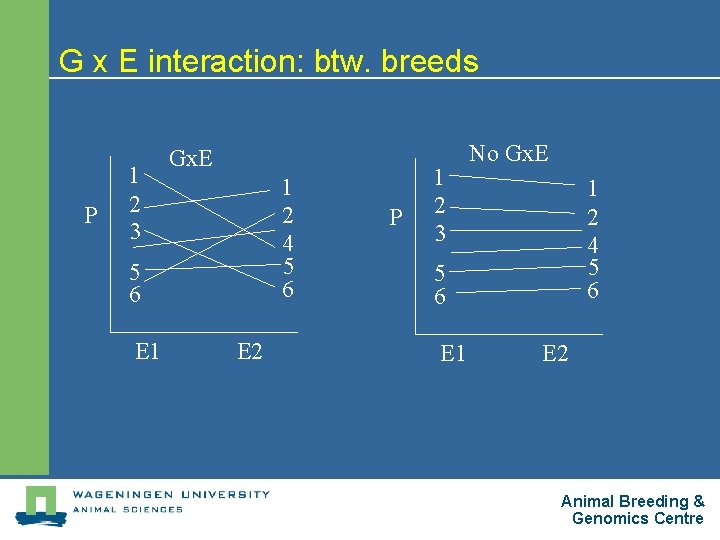 G x E interaction: btw. breeds P 1 2 3 Gx. E 1 2