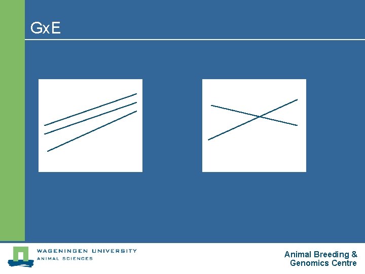 Gx. E Animal Breeding & Genomics Centre 