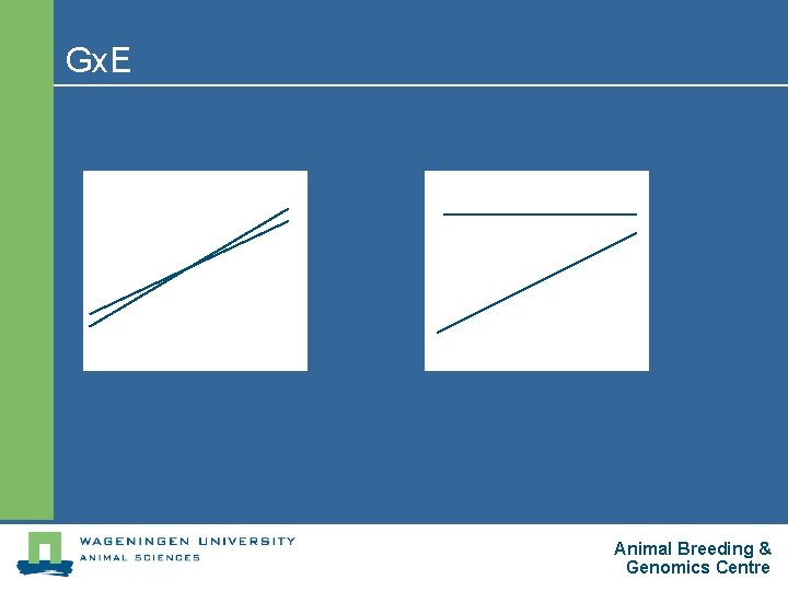 Gx. E Animal Breeding & Genomics Centre 