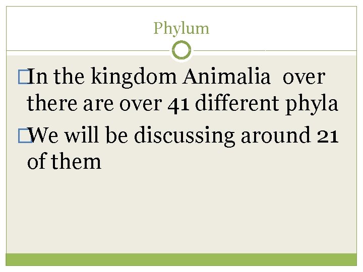 Phylum �In the kingdom Animalia over there are over 41 different phyla �We will