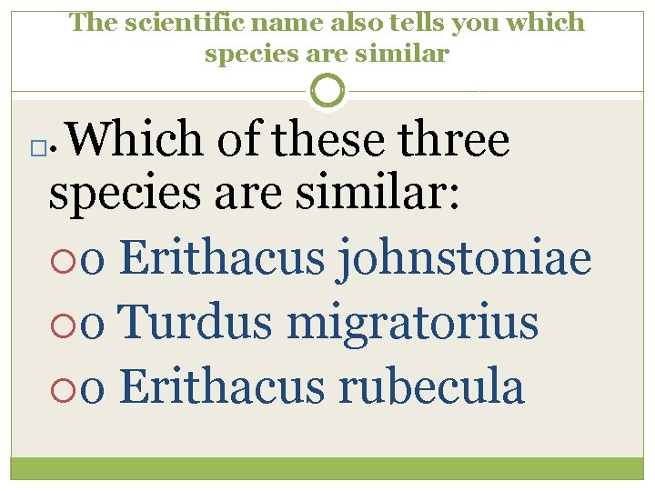 The scientific name also tells you which species are similar Which of these three