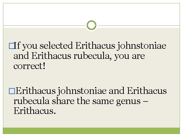 �If you selected Erithacus johnstoniae and Erithacus rubecula, you are correct! �Erithacus johnstoniae and