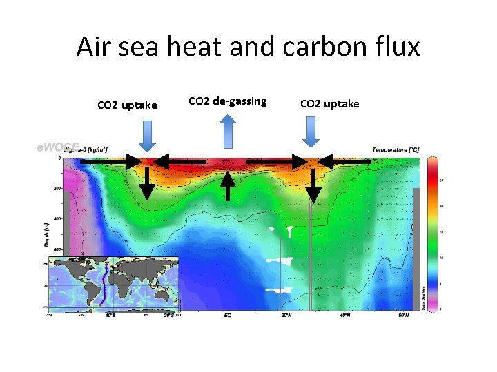 Air sea heat and carbon flux CO 2 uptake CO 2 de-gassing CO 2