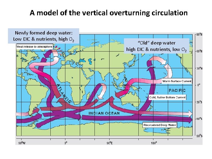 A model of the vertical overturning circulation Newly formed deep water: Low DIC &