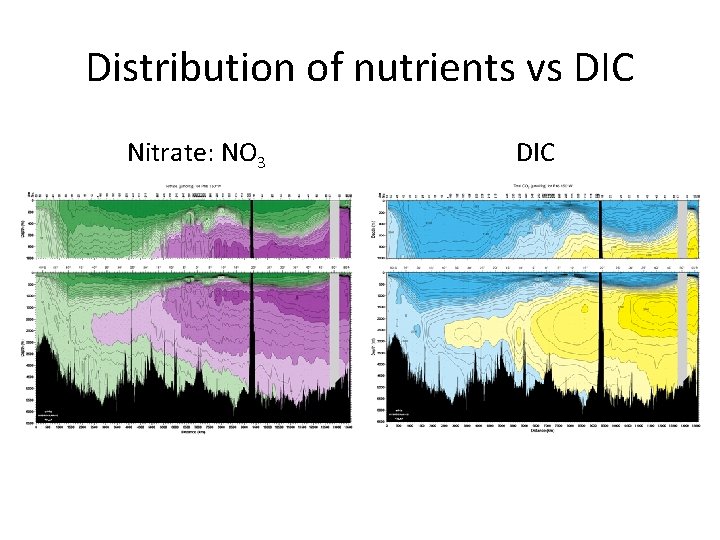 Distribution of nutrients vs DIC Nitrate: NO 3 DIC 