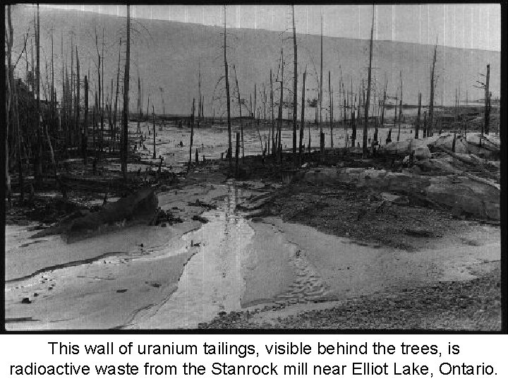 This wall of uranium tailings, visible behind the trees, is radioactive waste from the