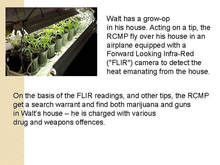 Walt has a grow-op in his house. Acting on a tip, the RCMP fly