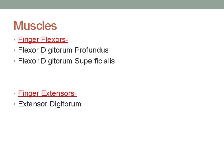 Muscles • Finger Flexors • Flexor Digitorum Profundus • Flexor Digitorum Superficialis • Finger