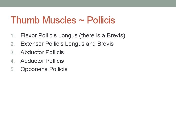 Thumb Muscles ~ Pollicis 1. 2. 3. 4. 5. Flexor Pollicis Longus (there is