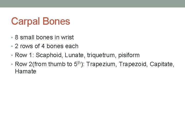 Carpal Bones • 8 small bones in wrist • 2 rows of 4 bones