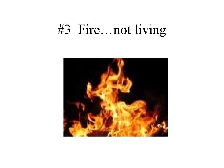 #3 Fire…not living 