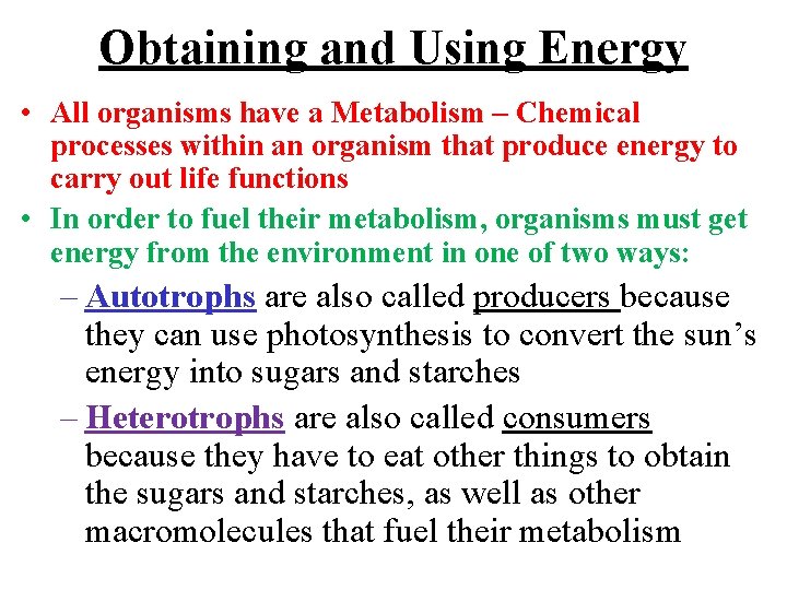 Obtaining and Using Energy • All organisms have a Metabolism – Chemical processes within