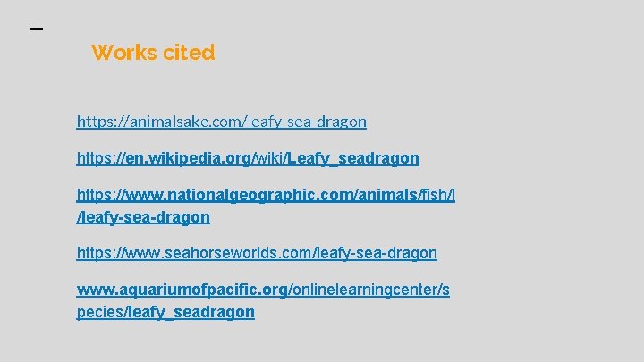 Works cited https: //animalsake. com/leafy-sea-dragon https: //en. wikipedia. org/wiki/Leafy_seadragon https: //www. nationalgeographic. com/animals/fish/l /leafy-sea-dragon