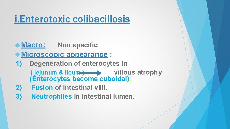 i. Enterotoxic colibacillosis Macro: Non specific Microscopic 1) 2) 3) appearance : Degeneration of