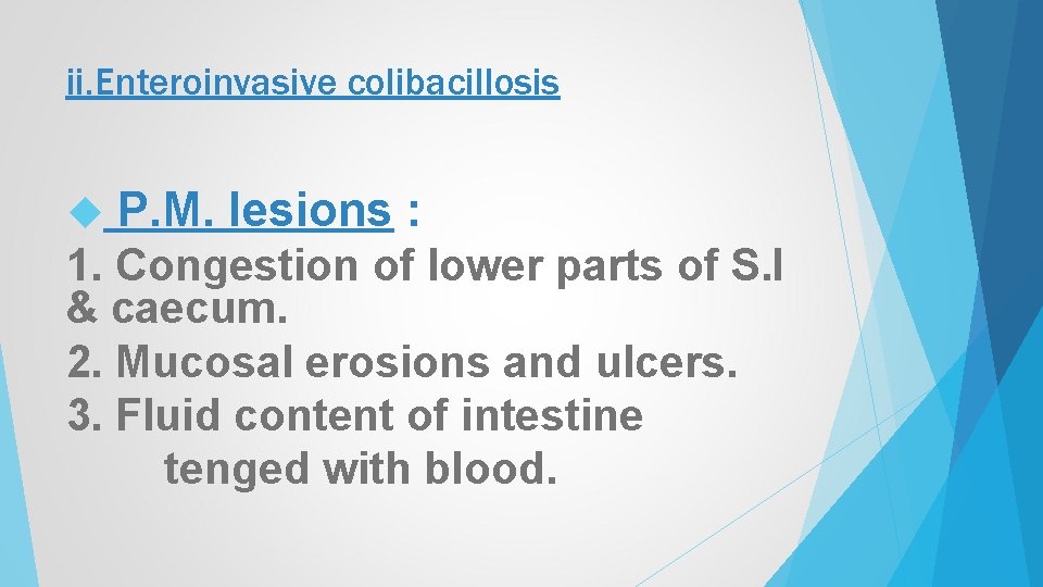 ii. Enteroinvasive colibacillosis P. M. lesions : 1. Congestion of lower parts of S.