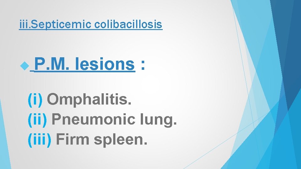 iii. Septicemic colibacillosis P. M. lesions : (i) Omphalitis. (ii) Pneumonic lung. (iii) Firm