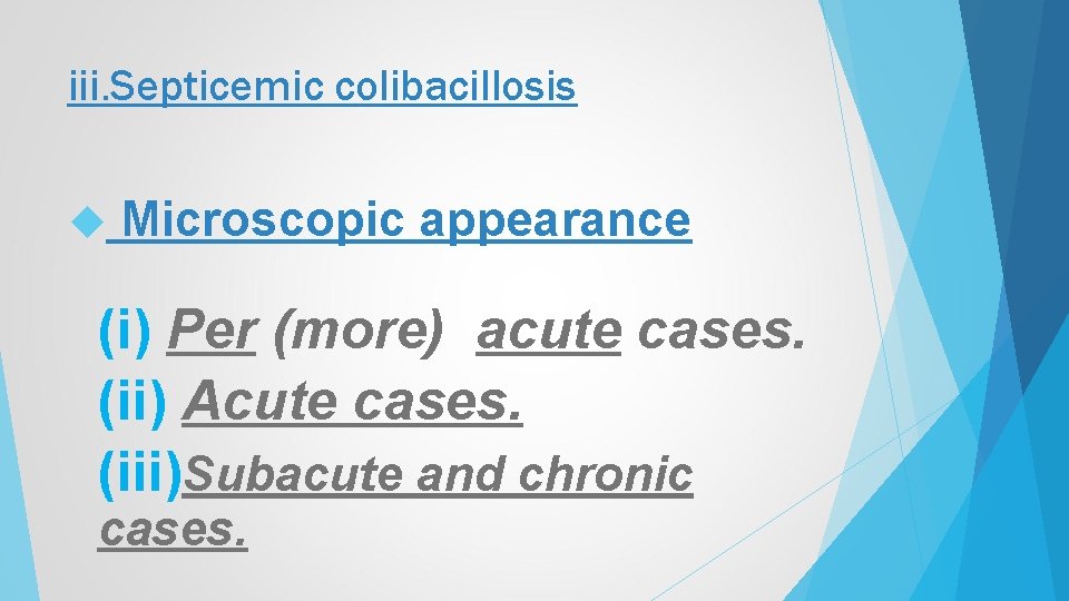 iii. Septicemic colibacillosis Microscopic appearance (i) Per (more) acute cases. (ii) Acute cases. (iii)Subacute