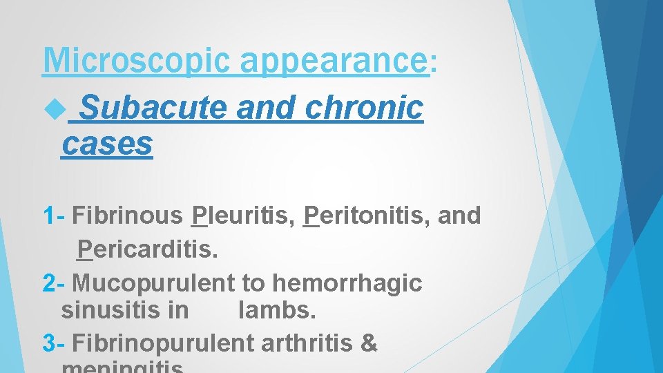 Microscopic appearance: Subacute and chronic cases 1 - Fibrinous Pleuritis, Peritonitis, and Pericarditis. 2