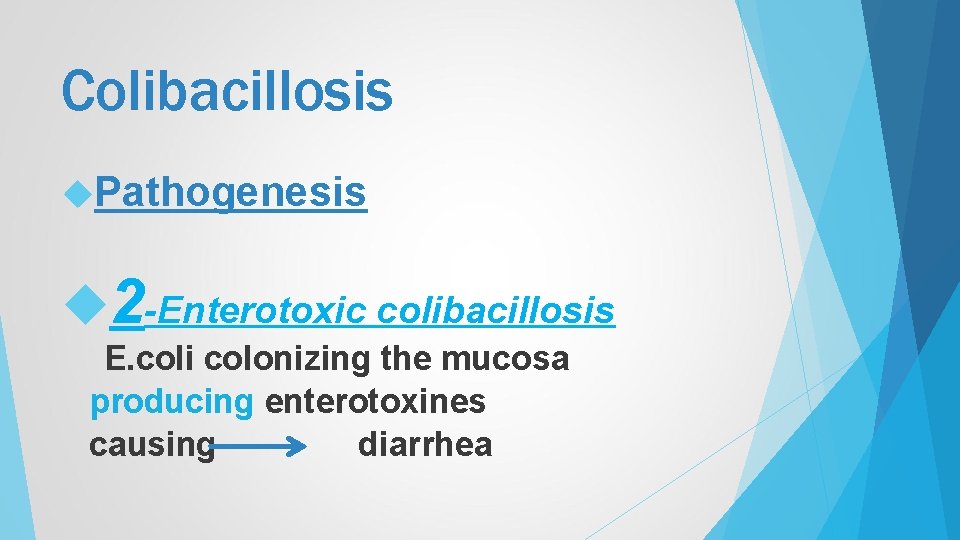 Colibacillosis Pathogenesis 2 -Enterotoxic colibacillosis E. coli colonizing the mucosa producing enterotoxines causing diarrhea
