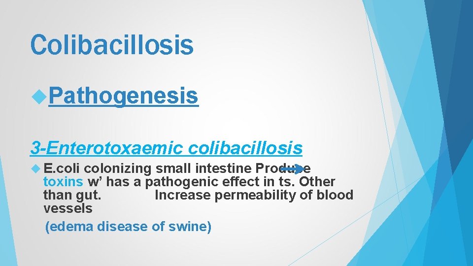 Colibacillosis Pathogenesis 3 -Enterotoxaemic colibacillosis E. coli colonizing small intestine Produce toxins w’ has