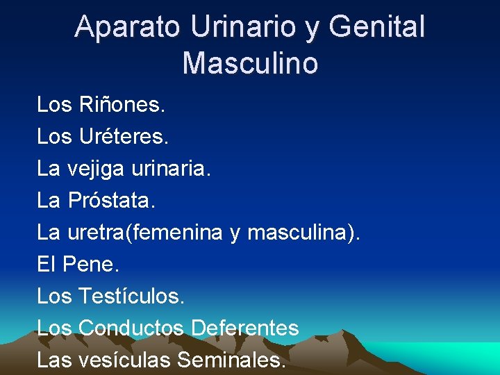 Aparato Urinario y Genital Masculino Los Riñones. Los Uréteres. La vejiga urinaria. La Próstata.