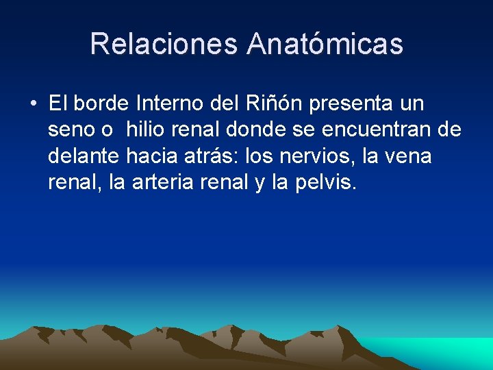 Relaciones Anatómicas • El borde Interno del Riñón presenta un seno o hilio renal