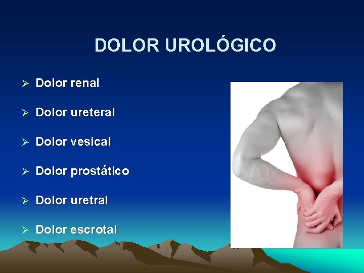 DOLOR UROLÓGICO Dolor renal Dolor ureteral Dolor vesical Dolor prostático Dolor uretral Dolor escrotal