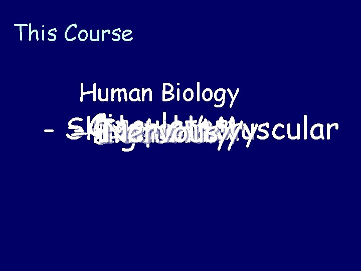 This Course Human Biology ----Circulatory - Skeletal Respiratory / Muscular Excretory Immunity Nervous Digestion
