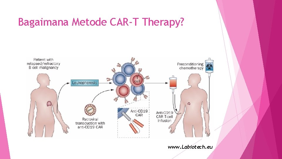 Bagaimana Metode CAR-T Therapy? www. Labiotech. eu 