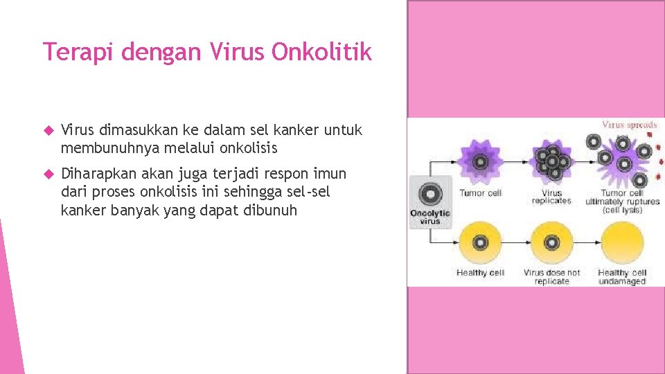 Terapi dengan Virus Onkolitik Virus dimasukkan ke dalam sel kanker untuk membunuhnya melalui onkolisis