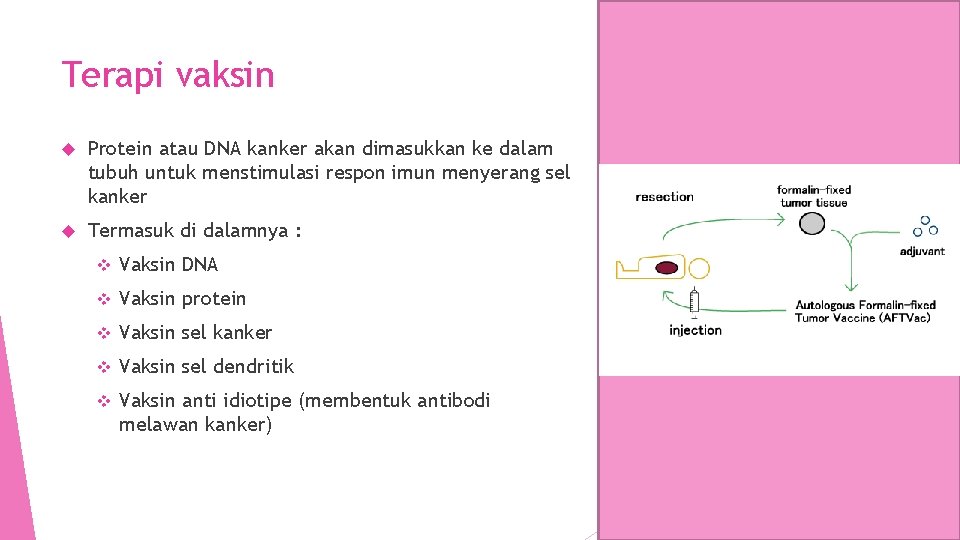 Terapi vaksin Protein atau DNA kanker akan dimasukkan ke dalam tubuh untuk menstimulasi respon