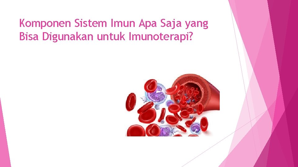 Komponen Sistem Imun Apa Saja yang Bisa Digunakan untuk Imunoterapi? 