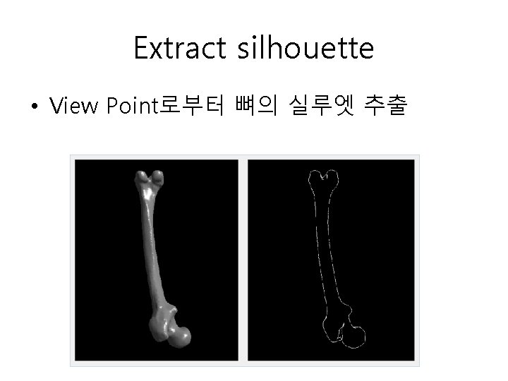 Extract silhouette • View Point로부터 뼈의 실루엣 추출 