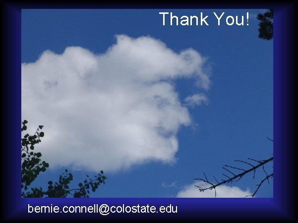 Thank You! bernie. connell@colostate. edu 